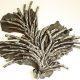 BexSimon Steel Coral Wall Art